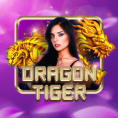 Dragon Tiger bingo plus apps